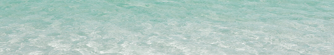 Bahamas: Mangrove Cay Club – Andros Island